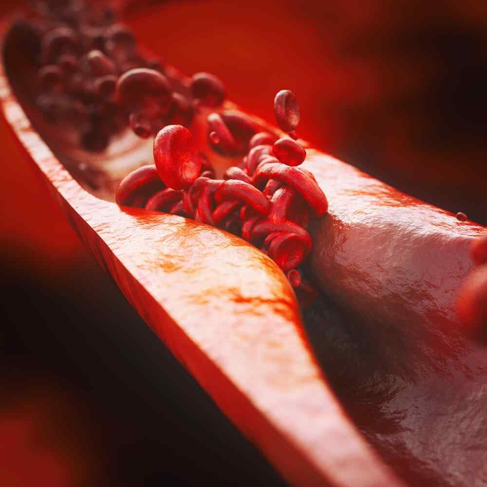 https://cmadh.org/wp-content/uploads/2021/08/inner_image_01.jpg