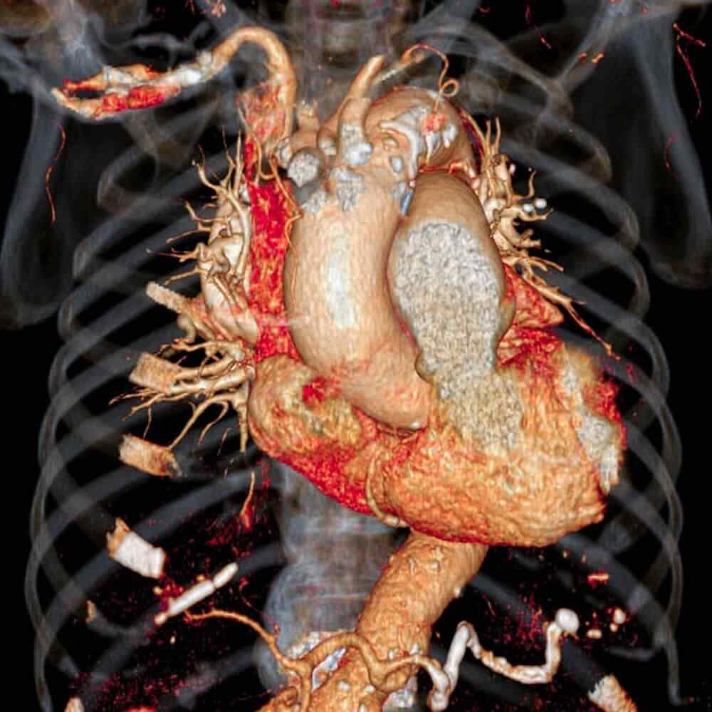 https://cmadh.org/wp-content/uploads/2021/08/inner_image_03.jpg