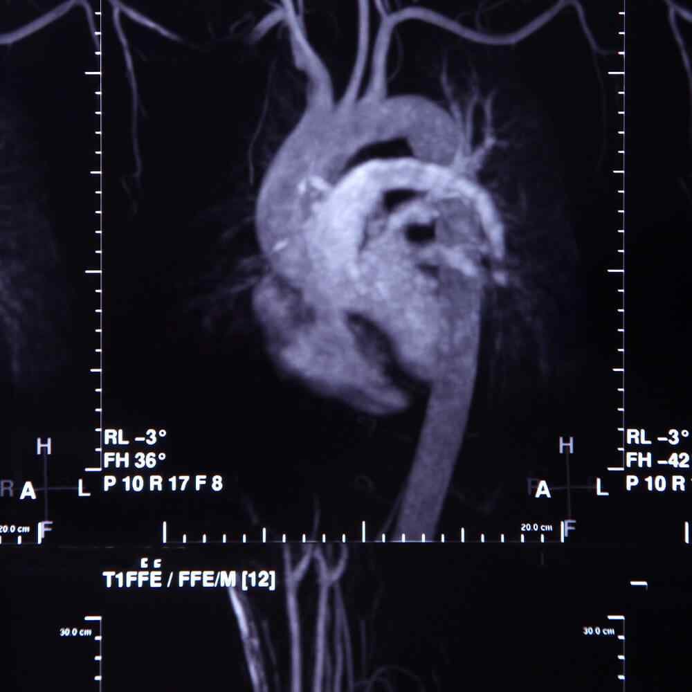 https://cmadh.org/wp-content/uploads/2021/08/inner_image_05.jpg