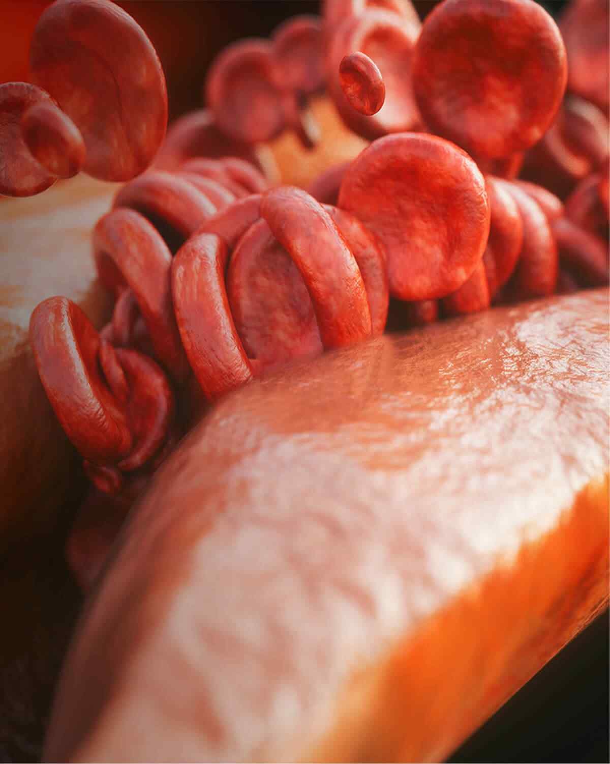 https://cmadh.org/wp-content/uploads/2021/08/interactive_image_right.jpg